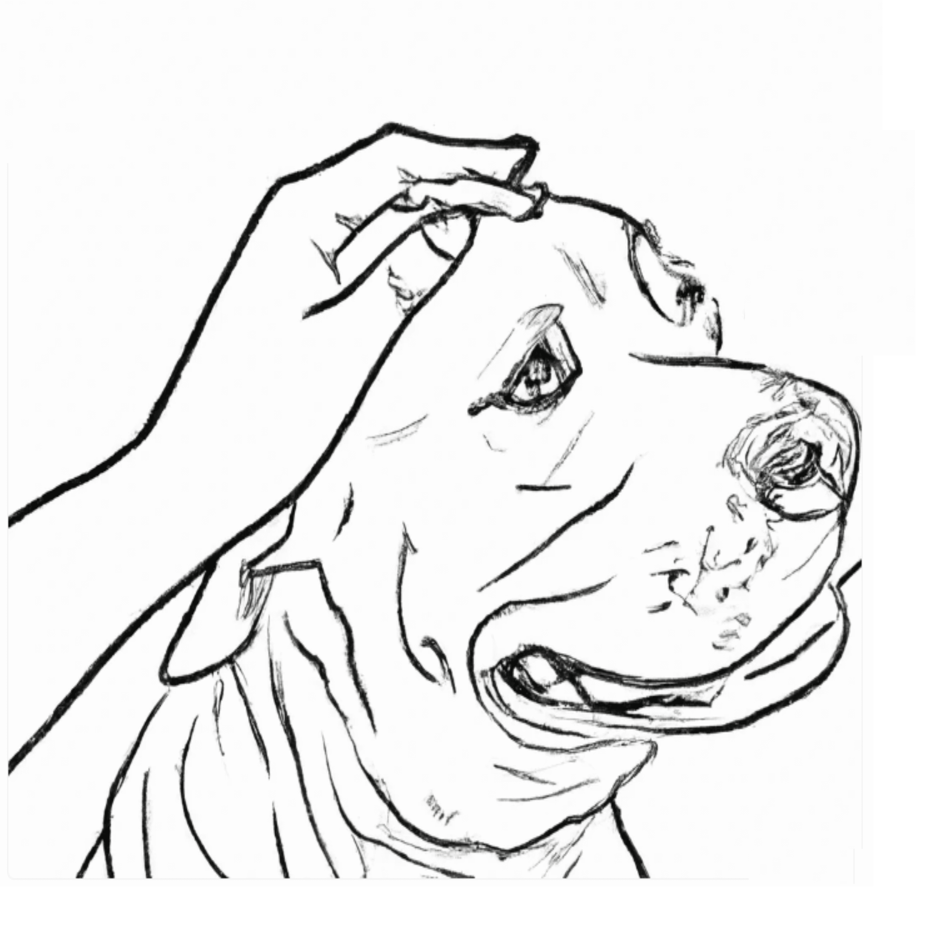 Line drawing of a hand patting a dog's head